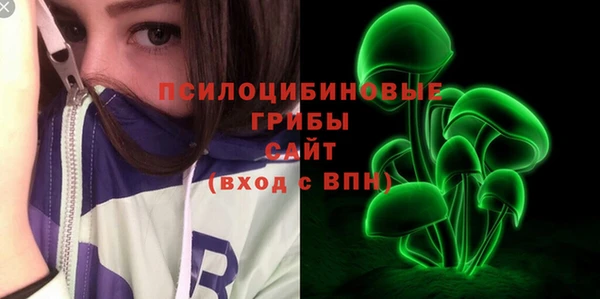 дурь Алексеевка