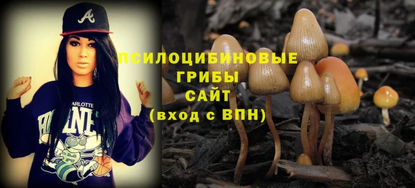 мет Аркадак