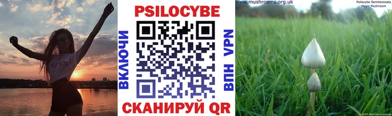что такое Набережные Челны Галлюциногенные грибы ЛСД